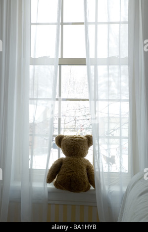 Teddybär sitzend im Fenster Stockfoto