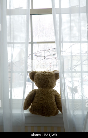 Teddybär sitzend im Fenster Stockfoto