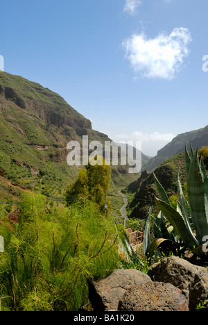 Eine schöne Aussicht auf den Barranco de Guayadeque, Guayadeque Schlucht, Gran Canaria, Kanarische Inseln, Spanien, Europa. Stockfoto