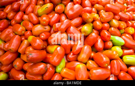 Haufen von roten und grünen Tomaten Solanum Lycopersicum auf einem Markt in Saint Denis La Réunion | Rote Und Grüne Tomten, Markt Stockfoto