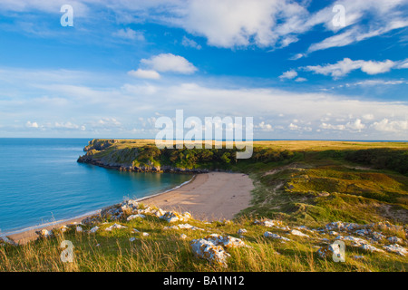 Barafundle Bay Pembroke Pembrokeshire Wales Stockfoto