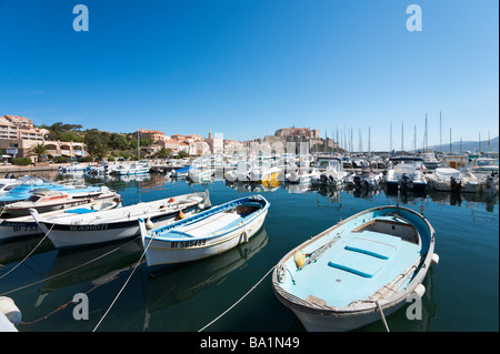 Hafen Sie mit Blick auf die Citadelle, La Balagne, Calvi, Korsika, Frankreich Stockfoto