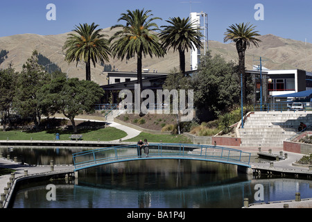 Die Taylor-Fluss fließt durch Riverside Park, Blenheim, Neuseeland Stockfoto