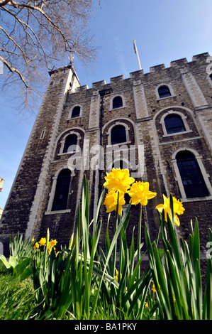 Tower of London, London, England, UK Stockfoto