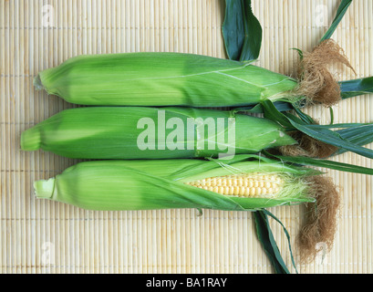 Maiskolben mit Schalen Stockfoto
