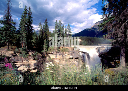 Athabasca Wasserfälle und Fluss entlang Icefields Parkway, Jasper Nationalpark, Kanadische Rocky Mountains, Alberta, Kanada Stockfoto