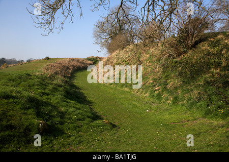 Navan Fort Bronzezeitalter Erdarbeiten Grafschaft Armagh Nordirland Vereinigtes Königreich Stockfoto