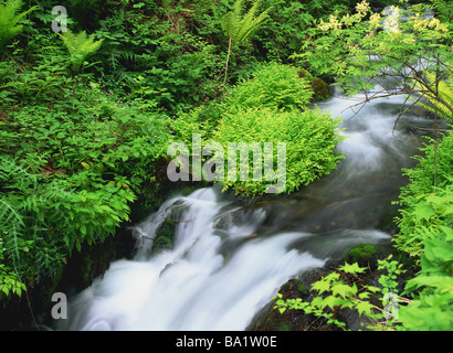Wasserfälle in der Präfektur Nagano, Japan Stockfoto