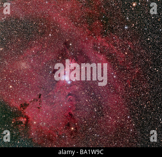 NGC 2264, Kegel und Weihnachtsbaum-Nebel. Stockfoto