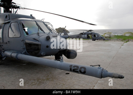 Zwei HH - 60G Pflastern Falken sitzen auf einem Hubschrauberlandeplatz in Farallon Island. Stockfoto