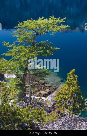 Das kristallklare Wasser der eisige Kälte Viviane See 2.068 m (6,785 ft) spiegelt die blauen Himmel des Sommers, alpinen Seen Wüste, Washington State Stockfoto