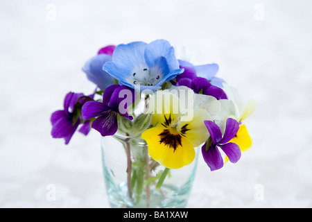 Bunte Blumen in Vase Stockfoto