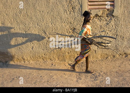 Malische Mädchen tragen Brennholz in Djenne Mali Stockfoto