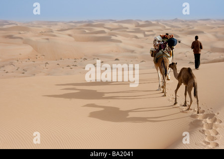 Führenden Kamele in der Wüste Saraha in der Nähe von Chinguetti Mauretanien Stockfoto