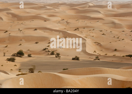 Sanddünen der Sahara Wüste in der Nähe von Chinguetti Mauretanien Stockfoto