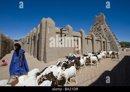 Herder und Sankore Moschee in Timbuktu Mali Stockfoto