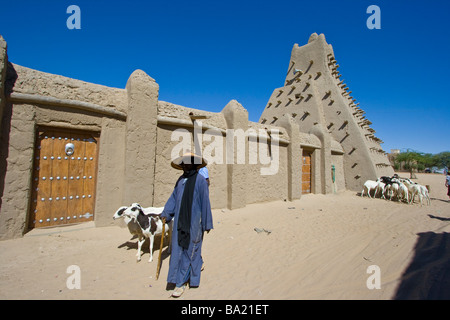 Herder und Sankore Moschee in Timbuktu Mali Stockfoto