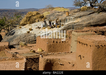 Frauen, die sieben Körner in Youga Piri Dorf in zahlt Dogon in Mali Stockfoto