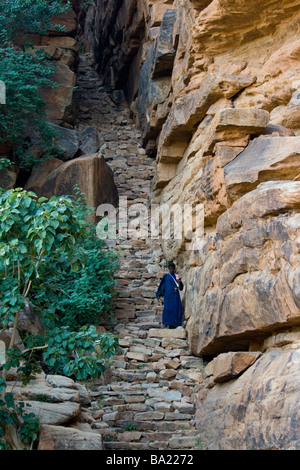 Peul muslimischen Mann auf der Treppe zu Banani Dorf in zahlt Dogon in Mali Stockfoto