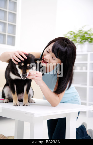 Junge Frau umarmt Akita Hund am Tisch lächelnd Stockfoto