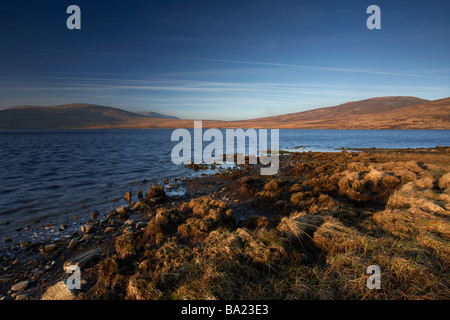 Spelga Damm Stausee im Herzen der Mourne Mountains Nordirland Vereinigtes Königreich Stockfoto