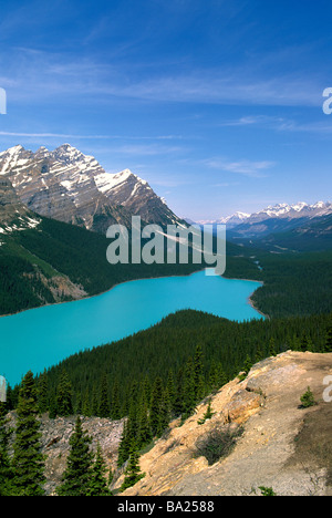 Peyto Lake, Banff Nationalpark, Kanadische Rockies, Alberta, Kanada - "Bow Summit" entlang Icefields Parkway, Rocky Mountains Stockfoto