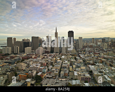 Blick über San Francisco vom Coit Tower, Telegraph Hill Stockfoto