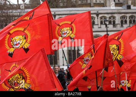 Sri Lankans Protest in Parliament Square demonstrieren gegen ihre Regierung s Aktionen in Sri Lanka Stockfoto