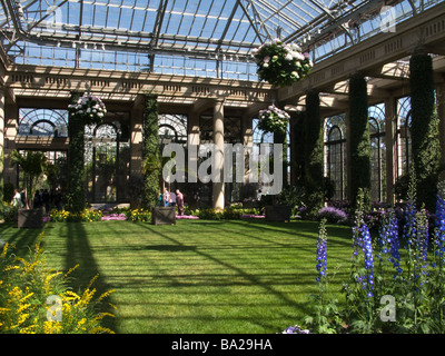 KONSERVATORIUM LONGWOOD BOTANISCHEN GÄRTEN KENNETT QUADRAT CHESTER COUNTY, PENNSYLVANIA USA Stockfoto