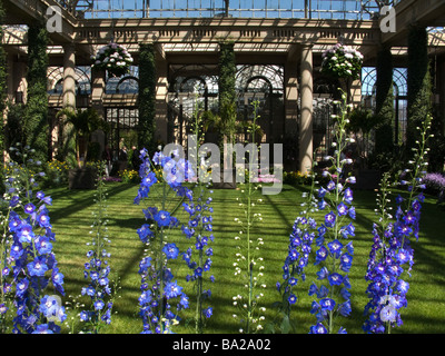 KONSERVATORIUM LONGWOOD BOTANISCHEN GÄRTEN KENNETT QUADRAT CHESTER COUNTY, PENNSYLVANIA USA Stockfoto