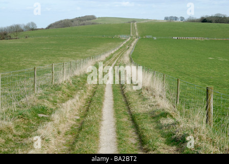 Strecke über die tiefen: The South Downs Way Langstrecken Wanderweg steigt in Richtung Linch Down, Nr. Bepton, West Sussex, England Stockfoto