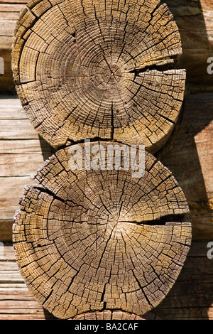 Holz-Haus-Protokolle Schnittmuster. Stockfoto