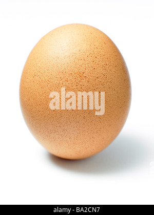 Studioaufnahme eines Eies Stockfoto