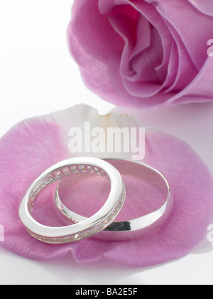 Silber Trauringe ruht auf Rosenblätter Stockfoto