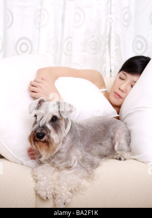 Junge Frau schläft auf dem Sofa mit einem Wire Fox Terrier hautnah Stockfoto