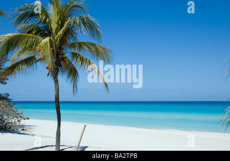 Kuba Varadero die unberührten weißen Sand türkisfarbenen Wasser und Palmen die Hotelzone von Kuba s beliebtesten Strand Stockfoto