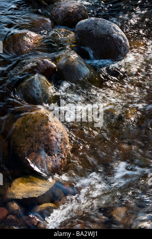 Steinchen in frischem kalten Bach. Stockfoto