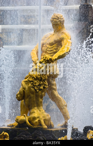 Samson und der Löwe durch die große Kaskade. Peterhof-Palast, Peterhof, Russland. Stockfoto