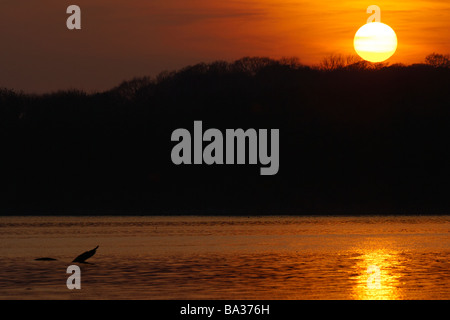 Sonnenuntergang über Lough Neagh County Antrim-Nordirland Stockfoto