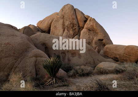 Joshua Tree Nationalpark Jumbo Rocks Bereich Sonnenaufgang dramatische Monzogranite sedimentär Kalifornien Stockfoto