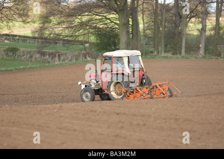 Traktor und Saatgut Bohren Aussaat Präzision Bohren Futterrüben im Frühjahr, North Yorkshire, UK Stockfoto