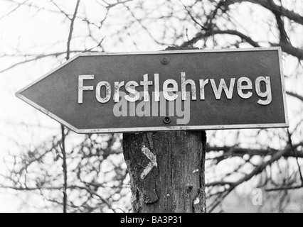 70er Jahre, schwarz / weiß Foto Schild Forstlehrweg führt zu einem Wald Straße informieren über die Forstwirtschaft Stockfoto