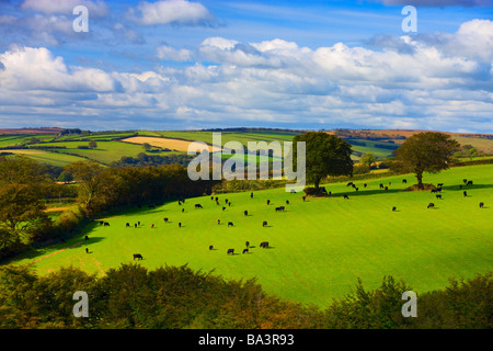 Blick über Exmoor Exmoor Nationalpark Somerset England Stockfoto