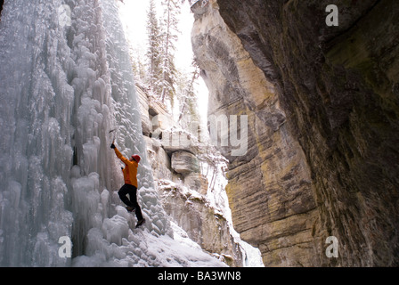 Weibliche Kletterer erforscht Eisklettern in den Narrows Maligne Canyon in Jasper Nationalpark, Alberta, Kanada Stockfoto