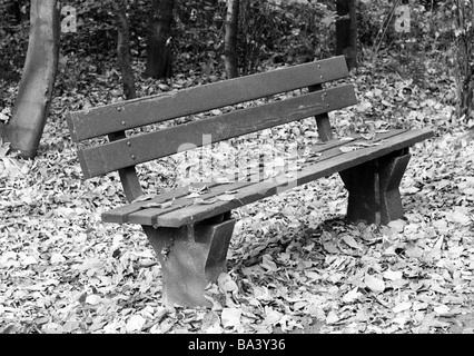70er Jahre, schwarz / weiß Foto, Herbst, Herbstlaub, Holzbank, symbolische Stockfoto