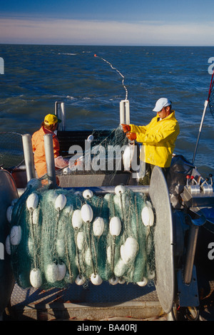 Berufsfischer auf Boot schleppen gillnet w/rot Lachs, Cook Inlet, KP, Alaska Sommer. Stockfoto