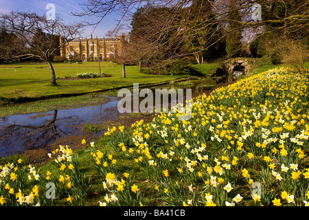 Missenden Abbey Frühling Narzissen Misbourne Fluss buckinghamshire Stockfoto