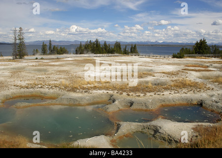 West-Daumen Vulkangebiet im Yellowstone National Park North America USA Stockfoto