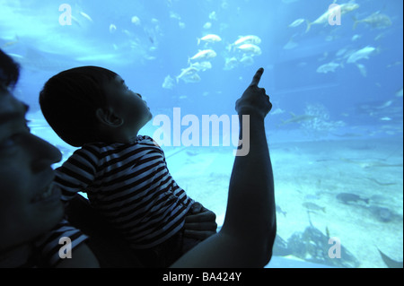 Vater mit seinem Sohn beobachten Fischaquarium Stockfoto