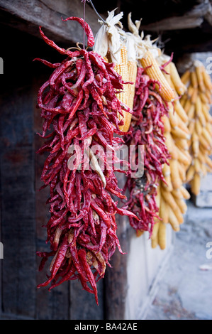 Hühneraugen und Chili Peppers hängen zum Trocknen neben einem Haus Stockfoto